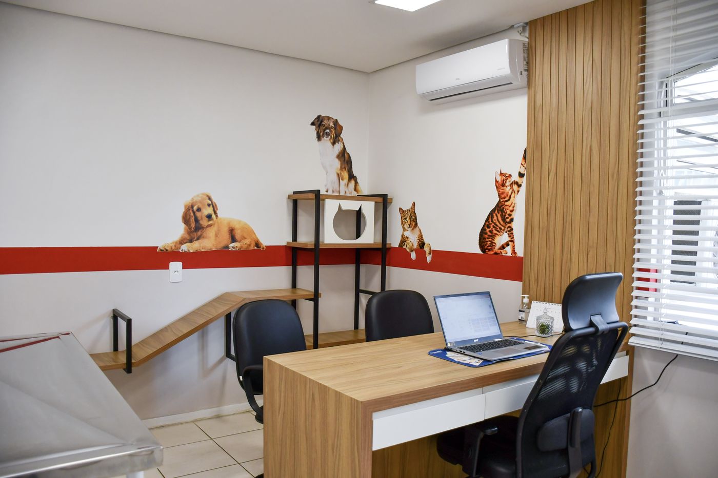 Sala de consulta da Clínica Veterinária 7 Vidas