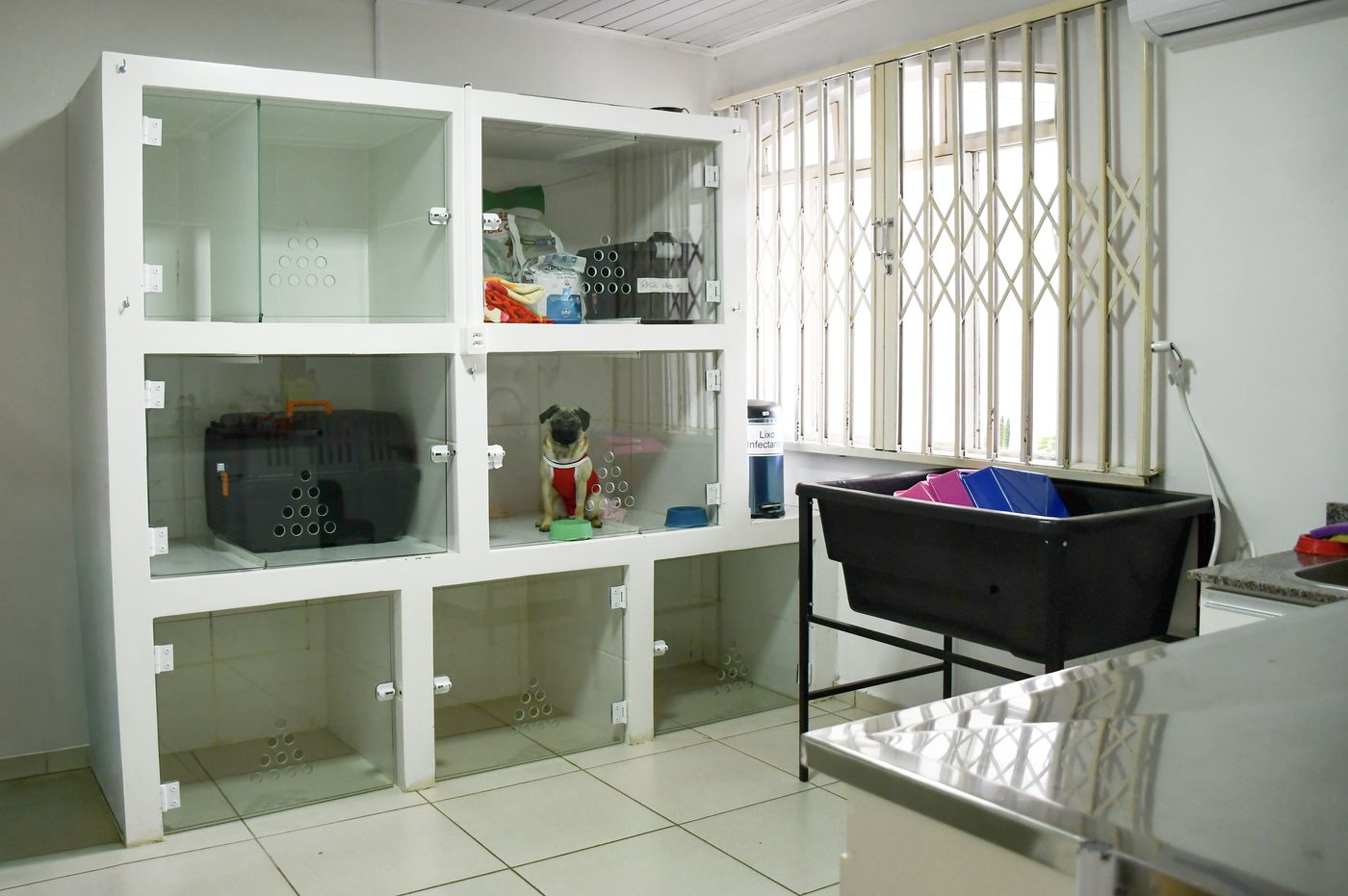 Internação da Clínica Veterinária 7 Vidas